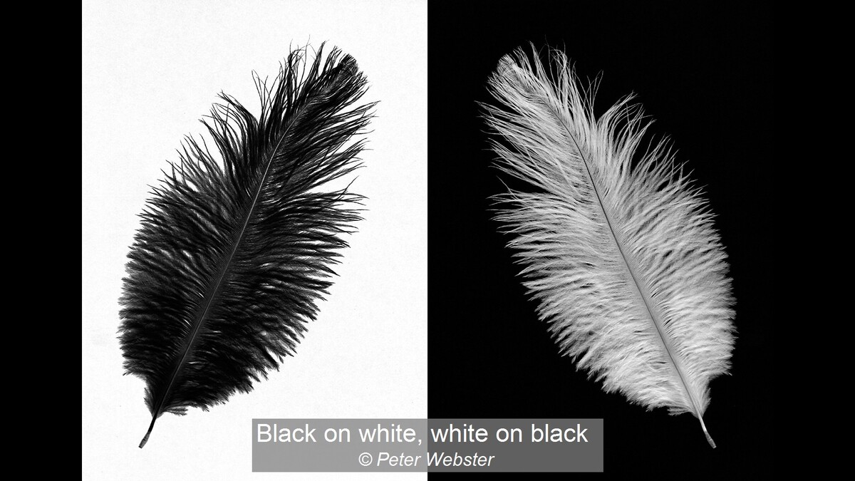 Black on white, white on black